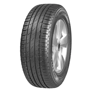 Шины Ikon Tyres Nordman S2 SUV 235/55 R17 99H