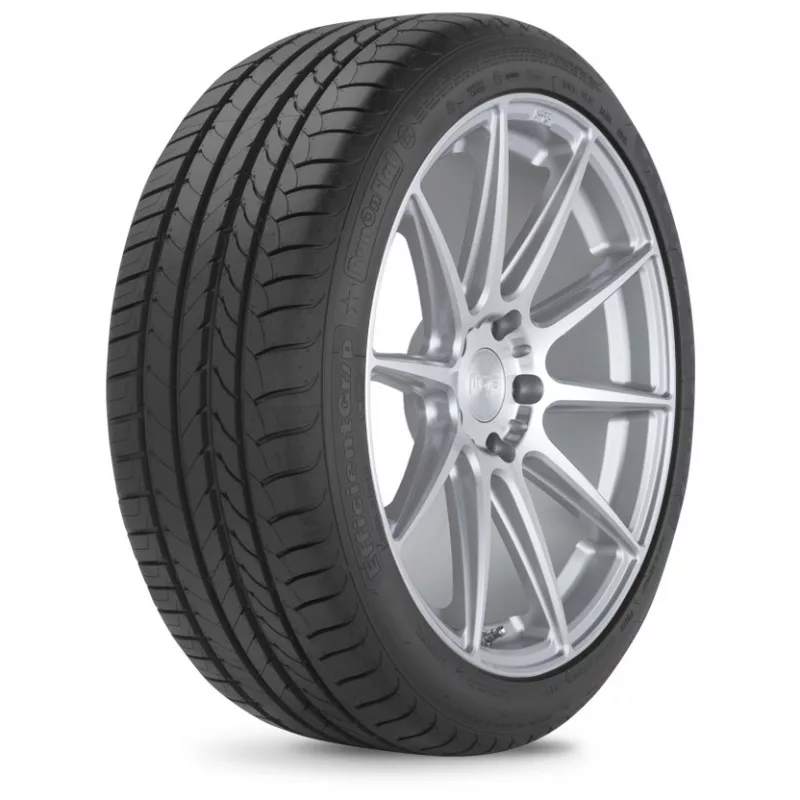 Шины Goodyear EfficientGrip 205/50 R17 93V XL FP