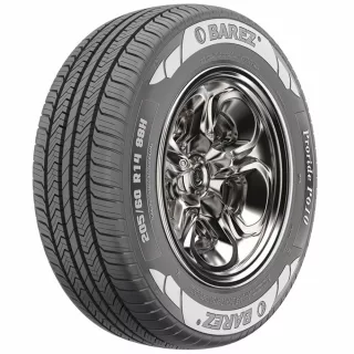 Шины Barez Proride P610 205/55 R16 91V