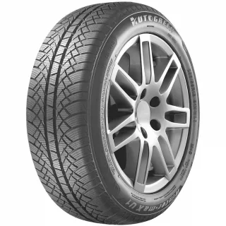 Шины Autogreen Winter-Max U1-WL2 185/65 R14 86T