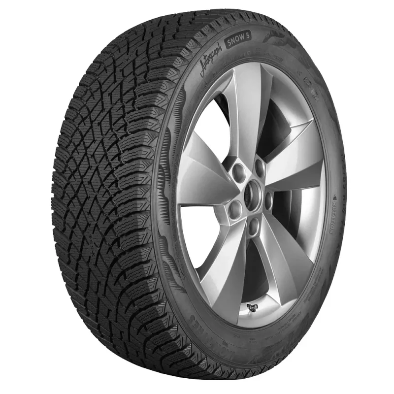 Шины Ikon Tyres Autograph Snow 5 255/45 R19 104T XL