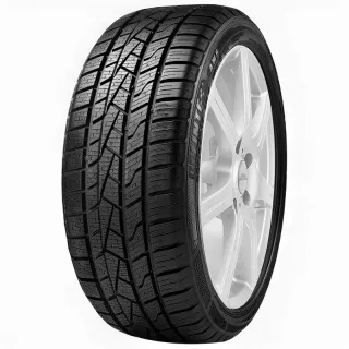 Шины Delinte AW5 205/60 R16 96H XL